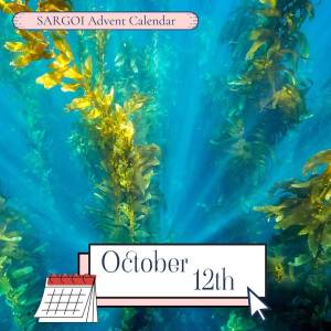 Seaweed Day